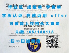 《揭秘梅努斯大学毕业证文凭成绩单样本：真实学历认证背后的秘密》