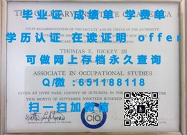《揭秘伯明翰城市大学毕业证文凭成绩单样本：真实与样本背后的故事》