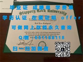 《揭秘梅努斯大学毕业证文凭成绩单样本，一窥名校真容》
