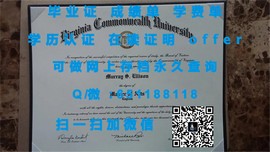 《揭秘阿德莱德大学毕业证文凭成绩单样本，一窥真实学历风采》