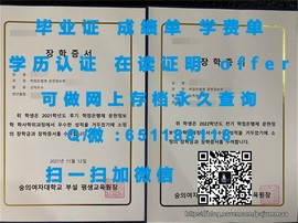 《揭秘梅努斯大学毕业证文凭成绩单样本，一窥学术真貌》