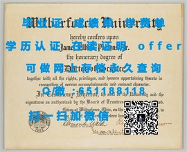 《揭秘斯文本科技大学毕业证文凭成绩单样本：真实与虚幻的学术世界》