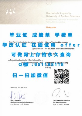 《揭秘梅努斯大学毕业证文凭成绩单样本，一睹名校风采》