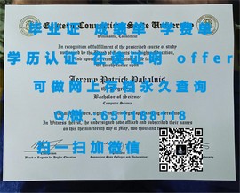 《揭秘拉夫堡大学毕业证文凭成绩单样本：真实与假象的较量》