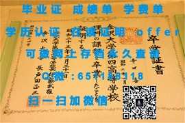 《揭秘伦敦大学皇家霍洛威学院毕业证文凭成绩单样本：真实与样本对比大揭秘》