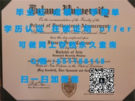 《揭秘真实！纽卡斯尔大学毕业证文凭成绩单样本深度解析》
