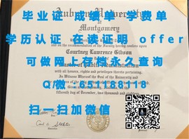 《揭秘伦敦城市大学毕业证文凭成绩单样本：真实学历认证的直观展示》