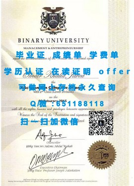 《揭秘惠灵顿理工学院：毕业证文凭成绩单样本大公开》