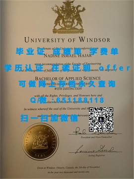 《揭秘新英格兰大学毕业证文凭成绩单样本：真实与伪造的较量》