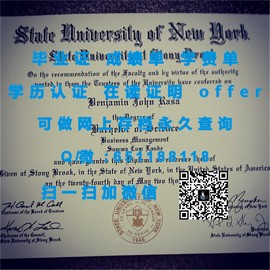 《揭秘普茨茅斯大学毕业证文凭成绩单样本：真实与仿制的视觉对比》