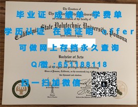 《揭秘克兰菲尔德大学毕业证文凭成绩单样本，真实学历认证背后的秘密》