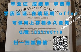 安格利亚罗斯金大学毕业证文凭成绩单样本揭秘：真实与假象的较量