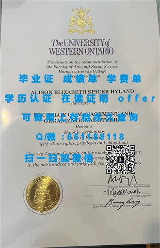 《约克大学文凭：开启你的国际学术之旅，成就未来职场精英》