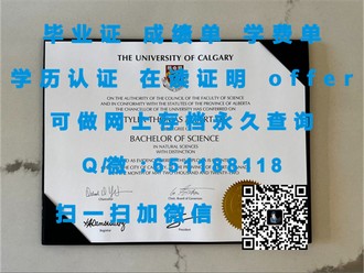 《墨尔本皇家理工大学文凭：开启你的全球精英之路》