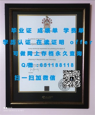 《苏塞克斯大学文凭：开启学术成就与全球认可之门》