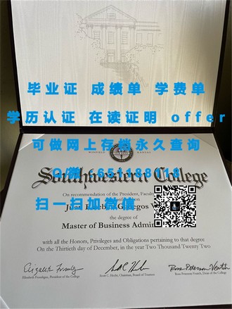 《伦敦商学院文凭：开启商业精英之路的黄金钥匙》