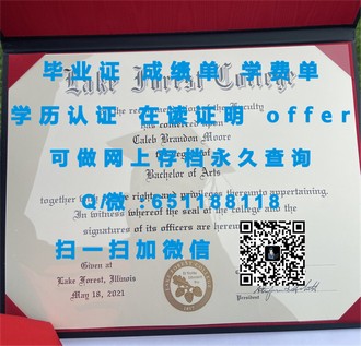 《揭秘伦敦学院文凭：培养未来精英的教育殿堂》