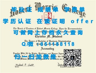 《苏塞克斯大学文凭：开启你的学术与职业新篇章》