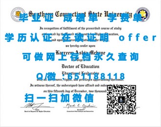 《莱斯特大学文凭：开启你的全球教育之旅》