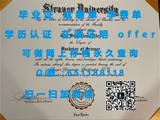 《里丁大学文凭：揭秘这所名校的学术魅力与就业优势》