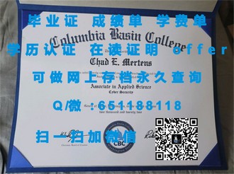 《斯旺西大学文凭：开启你的学术之旅，成就未来职业的敲门砖》