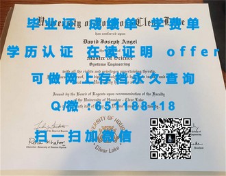 蒂赛德大学文凭：揭开其学术成就与全球认可的神秘面纱