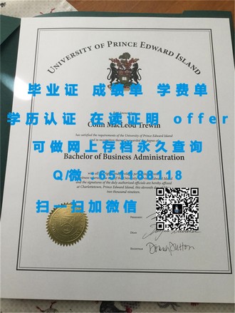 《南安普顿索兰特大学文凭：揭秘其教育品质与全球认可度》