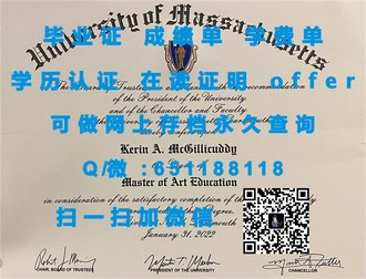《马来西亚国民大学文凭：解锁全球认可的学术成就》