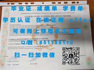 《肯高迪亚大学文凭：开启你艺术梦想的敲门砖，全球认可的学术成就证书》
