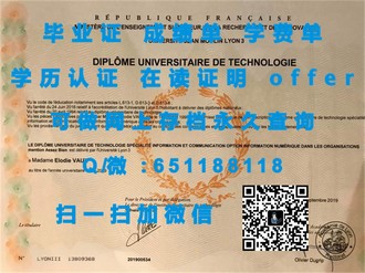 《都柏林理工学院文凭：开启国际认可的学术之旅》