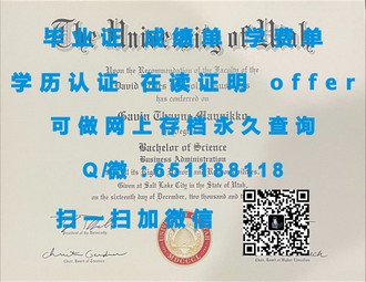 《西安大略大学文凭：成就国际认可的学历典范》