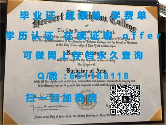 《新布伦瑞克大学文凭：揭秘世界名校的学术荣耀与就业保障》