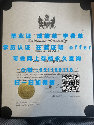 《意大利比萨大学文凭：解锁全球认可的学术殿堂钥匙》