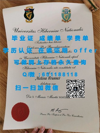 《梅努斯大学文凭：揭秘全球顶尖学府的荣耀与价值》