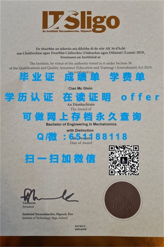 《爱尔兰高威大学文凭：开启全球认可的学术之旅》