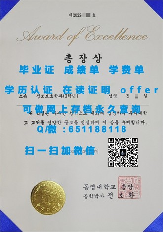 《利默里克大学文凭:揭开这所世界级学府的学术光环与未来价值》