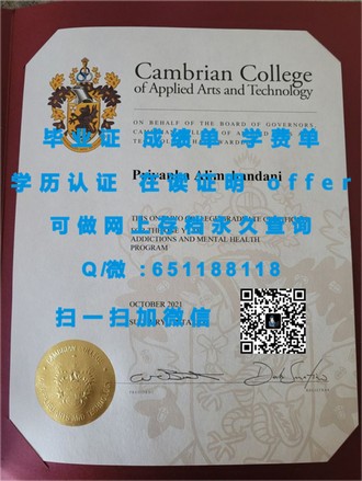 《开普半岛科技大学文凭：开启国际认可的学术之旅》