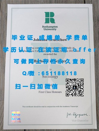 《利默里克大学文凭：揭秘全球顶尖学府的学术荣耀与就业前景》