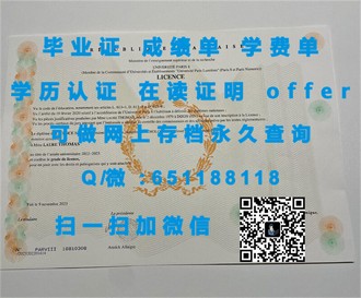 梅努斯大学文凭：解锁全球认可的学术荣耀与未来无限可能