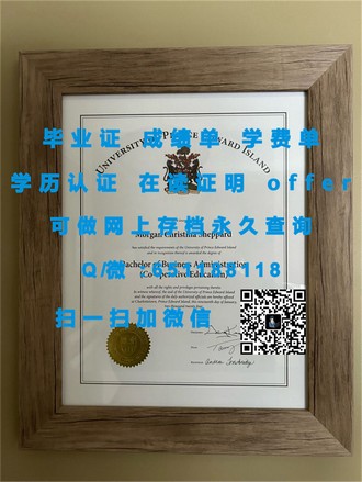 《纽卡斯尔大学文凭：揭秘全球顶尖教育机构的教育成果与未来价值》