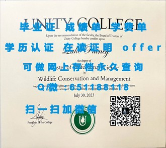 《悉尼大学文凭：开启全球认可的学术之旅》