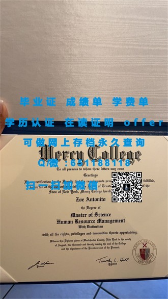 南澳大学文凭：揭秘学历背后的全球认可与职业前景