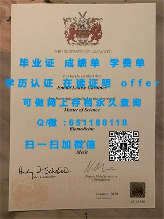 《揭秘南洋理工学院文凭：你的学术成就，全球认可的敲门砖》