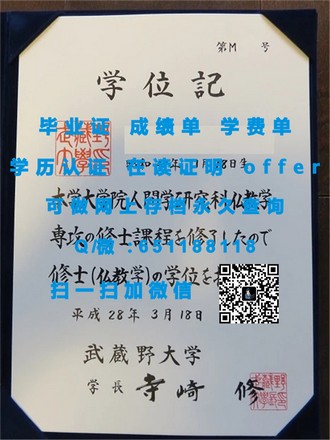 新加坡管理发展学院文凭：解锁国际认可的职场通行证