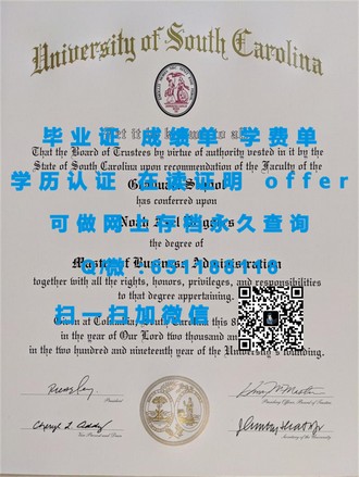 《萨里大学文凭：开启全球职场新篇章，成就无限可能！》