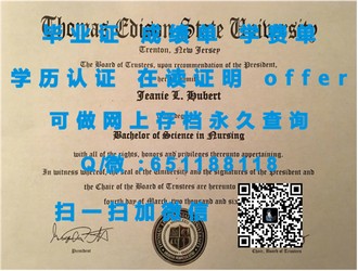 《纽卡斯尔大学文凭：开启全球认可的教育新篇章》