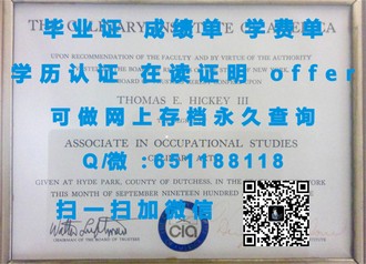 《南安普顿大学文凭：开启全球就业新篇章的黄金钥匙》