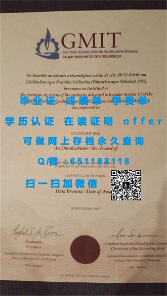 《苏塞克斯大学文凭：揭秘名校光环背后的学术实力与就业前景》