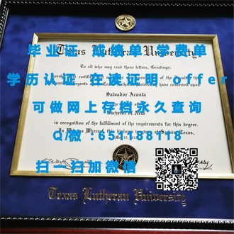 《揭秘南安普顿索兰特大学文凭：成就您的国际化教育梦想》