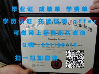 《揭秘：拉萨尔学院文凭，开启艺术领域的无界之旅》